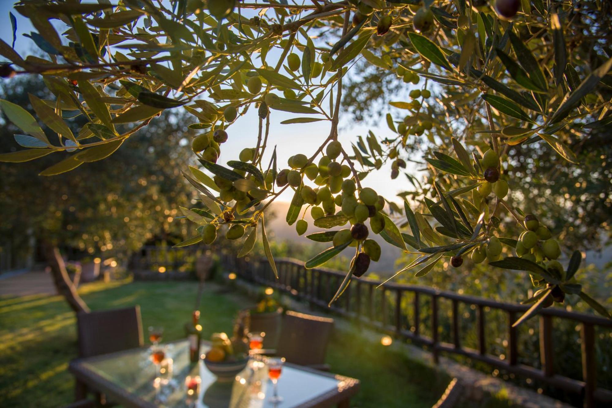 Malathiros Traditional Villas Екстериор снимка